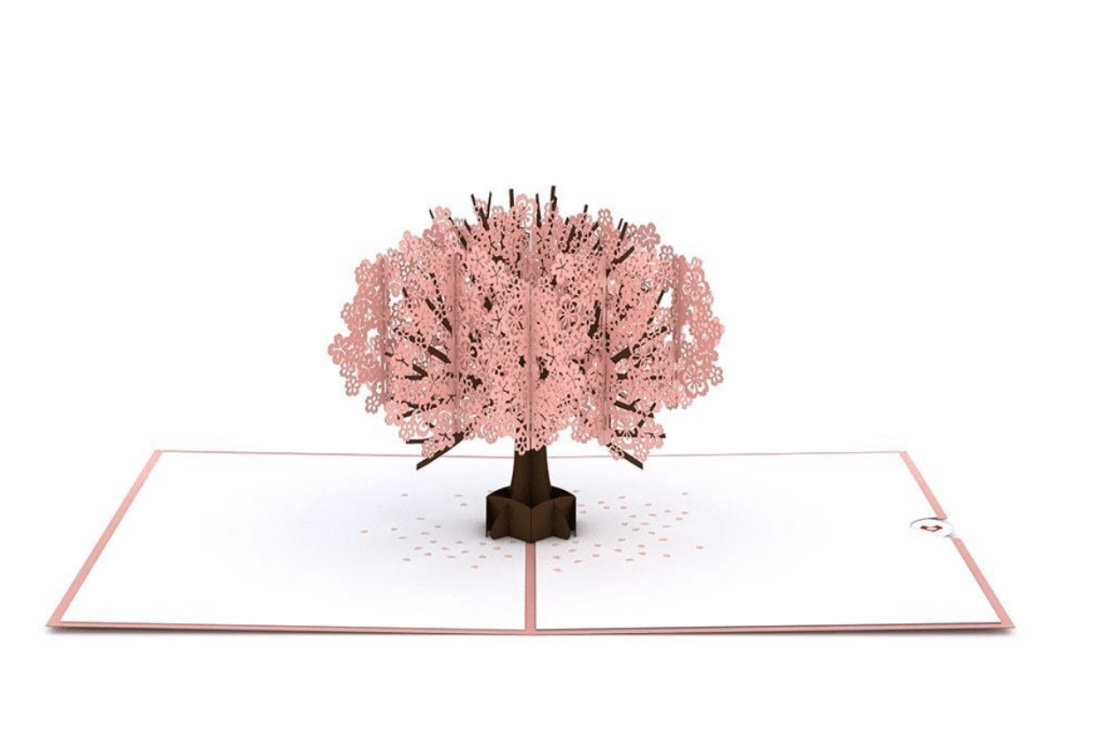 Screen Shot 2019-02-08 at 12.43.41 PM